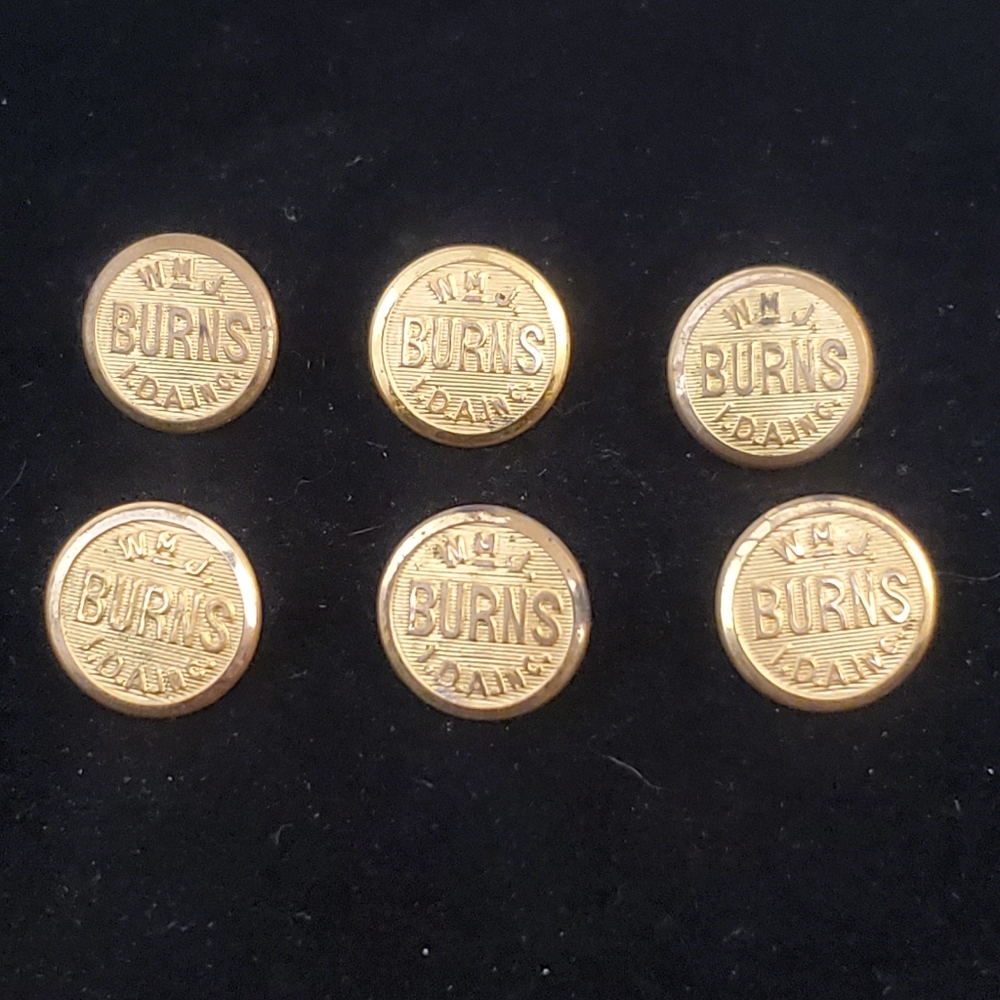 Vintage Uniform Buttons BURNS I.D.A.Inc, lot of 6 buttons
